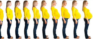 31 Semanas de embarazo | Embarazo